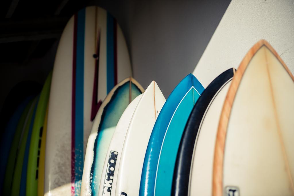 アレイア・ブランカ Da Silva Surfcampホステル エクステリア 写真